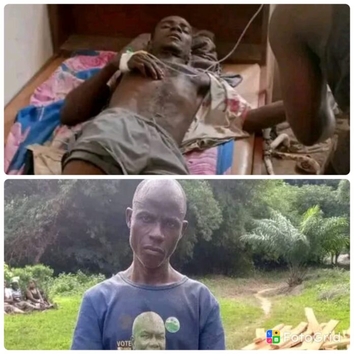 Morris Nimely Critically Injured in Tree-Cutting Accident in Freetown, Glaro District