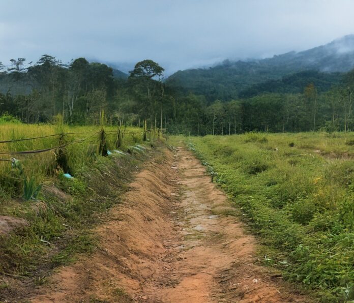 Liberia Advances Biodiversity Finance Planning with Key Validation Milestone